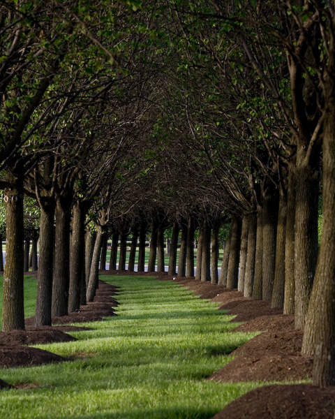 loudoun county parkway