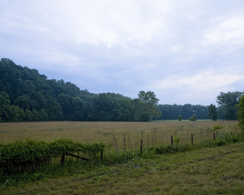 shenandoah field