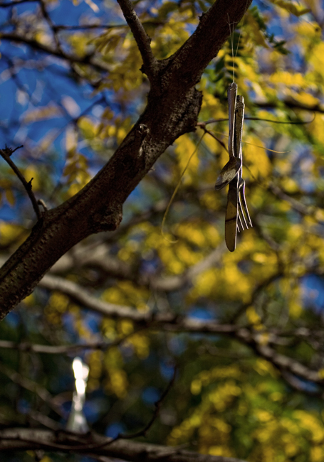 the silverware tree