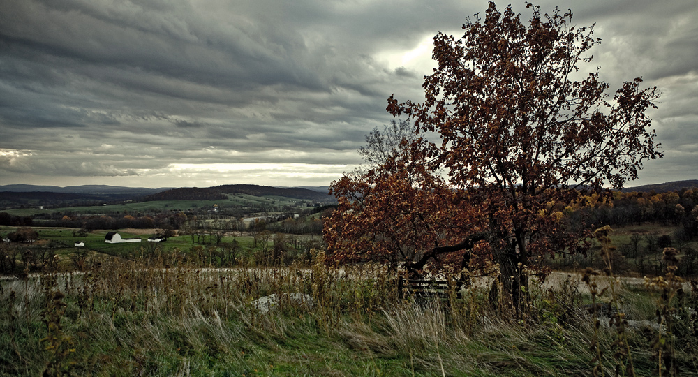 return to sky meadows