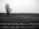 railroad