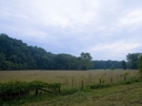 shenandoah field