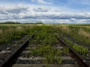 railtroad tracks to grain elevator